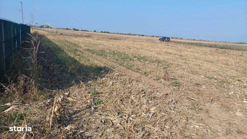 Teren de vanzare Crevedia - Buftea - Darza, 2 loturi de 800mp - Imagine principală: 5/8