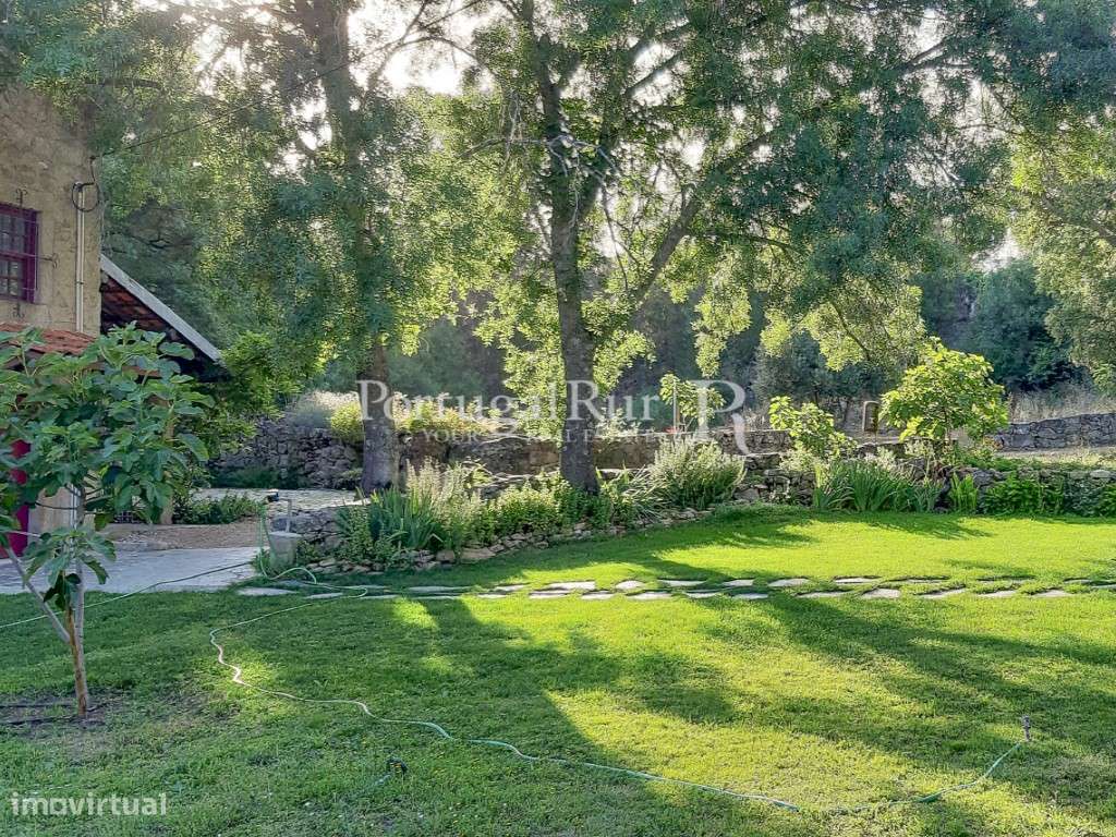 Quinta Rural 8.000 m2 - 2 Casas Habitáveis - confina com Ribeira-25