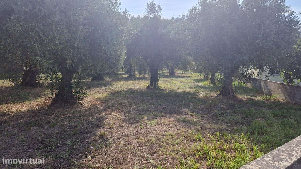 Excelente terreno em Barreiras - Grande imagem: 4/17