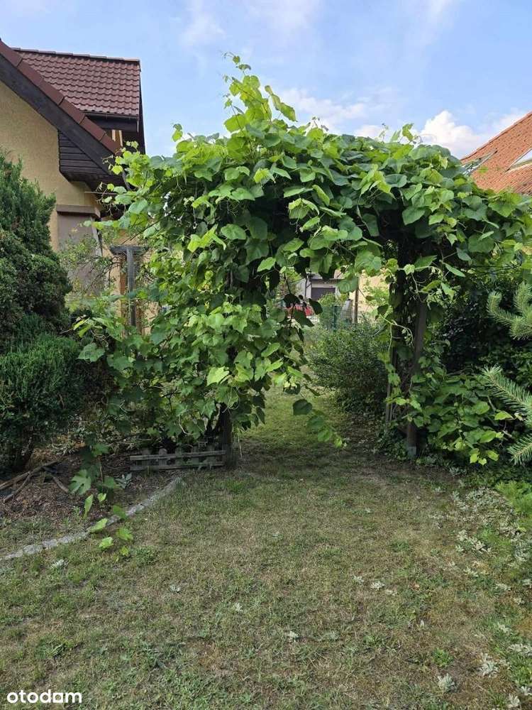 Dom z własnym lasem w Kochlicach-18