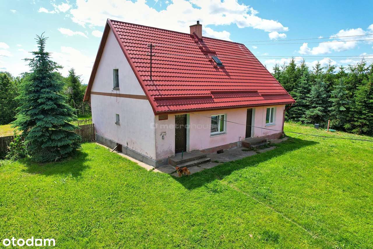 Dom z dużą działką i budynkami  Guzy, gm. Kowale - Pełny obrazek: 4/13