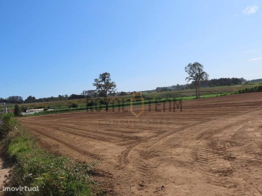 Terreno Misto em Aveleda, Vila do Conde