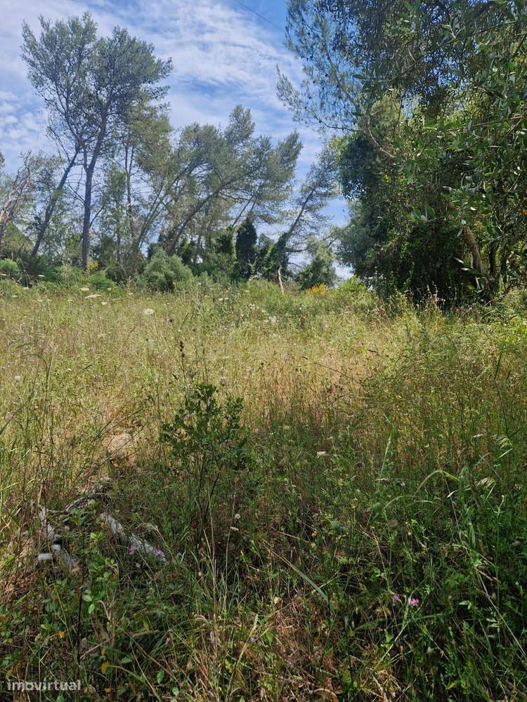 Terreno Rústico - Grande imagem: 5/18