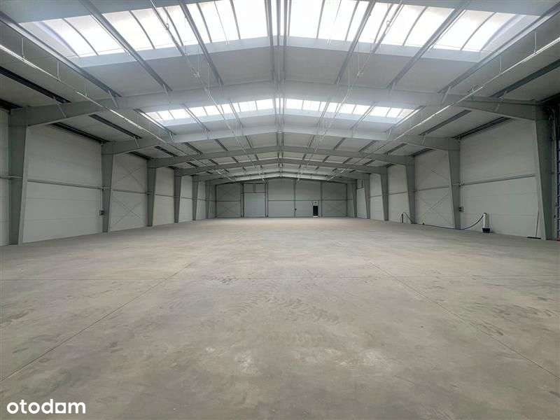 Magazyn - Miszewko Miszewko - Pełny obrazek: 5/11