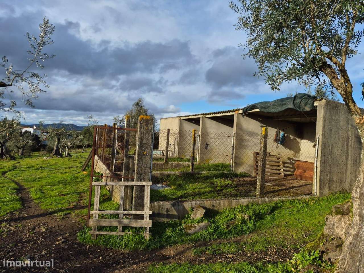 Quinta - Grande imagem: 4/15