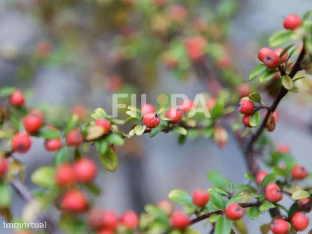 Um refúgio especial no Porto-11