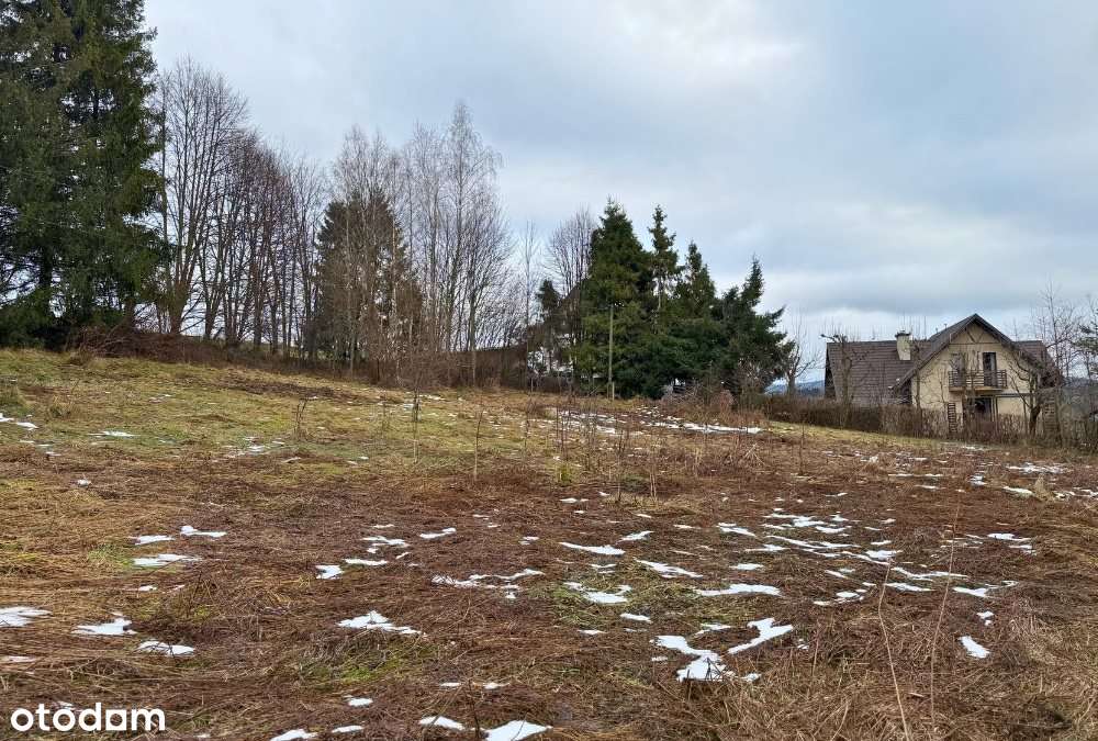 Dom w Bieszczadach-10