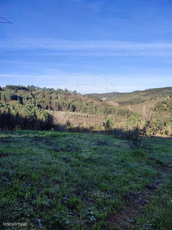 Terreno  para venda