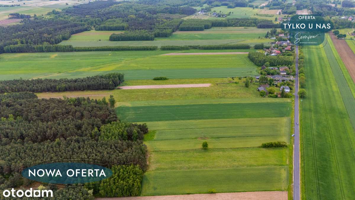 Działka Górki Grabińskie - Pełny obrazek: 4/8