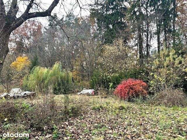 Na odludziu- dom pod lasem-9