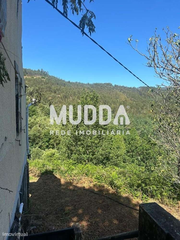 Quinta com ruína em Fermedo - Grande imagem: 4/28