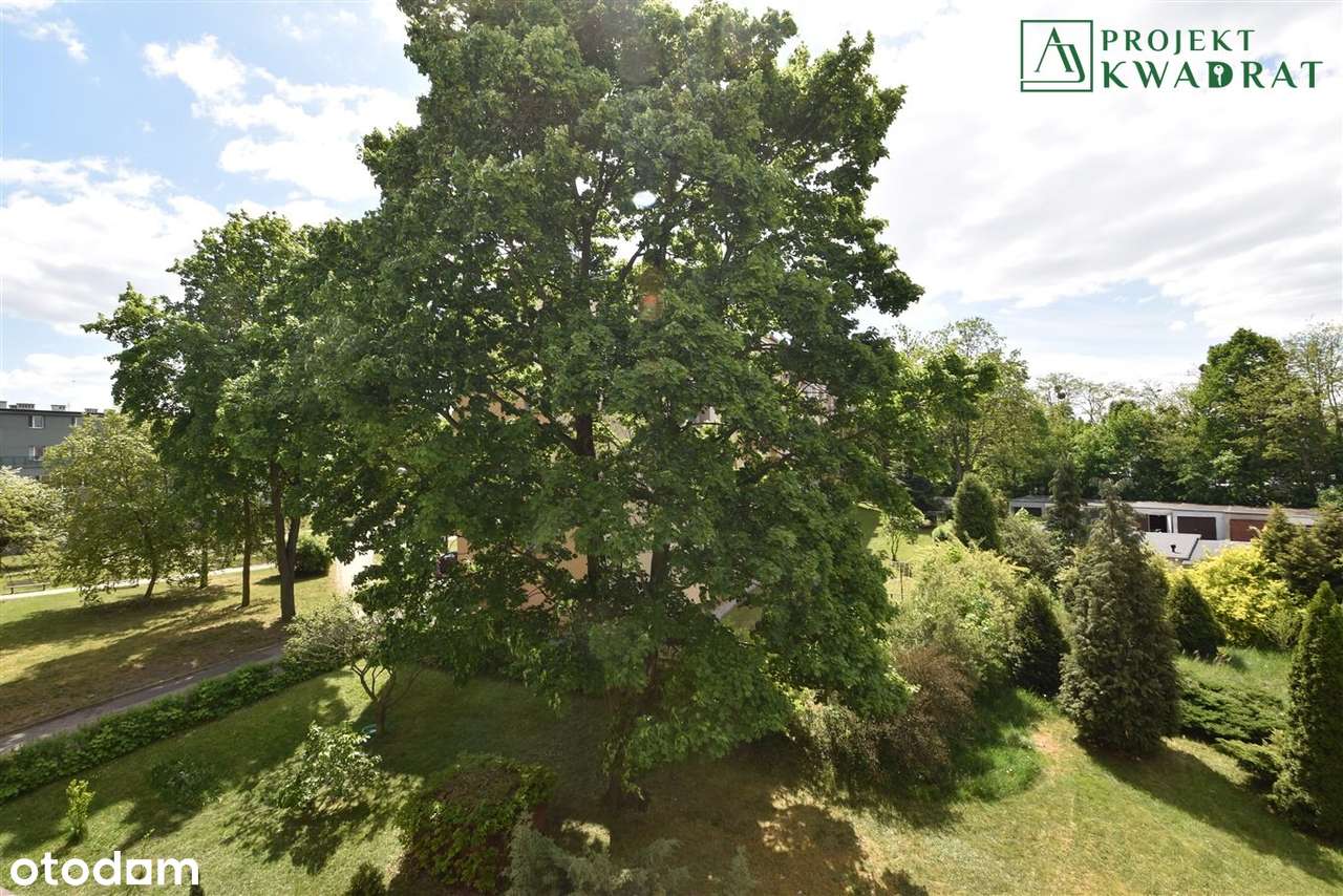 Słoneczne mieszkanie z balkonem| Piętro 2|Łabędy-5