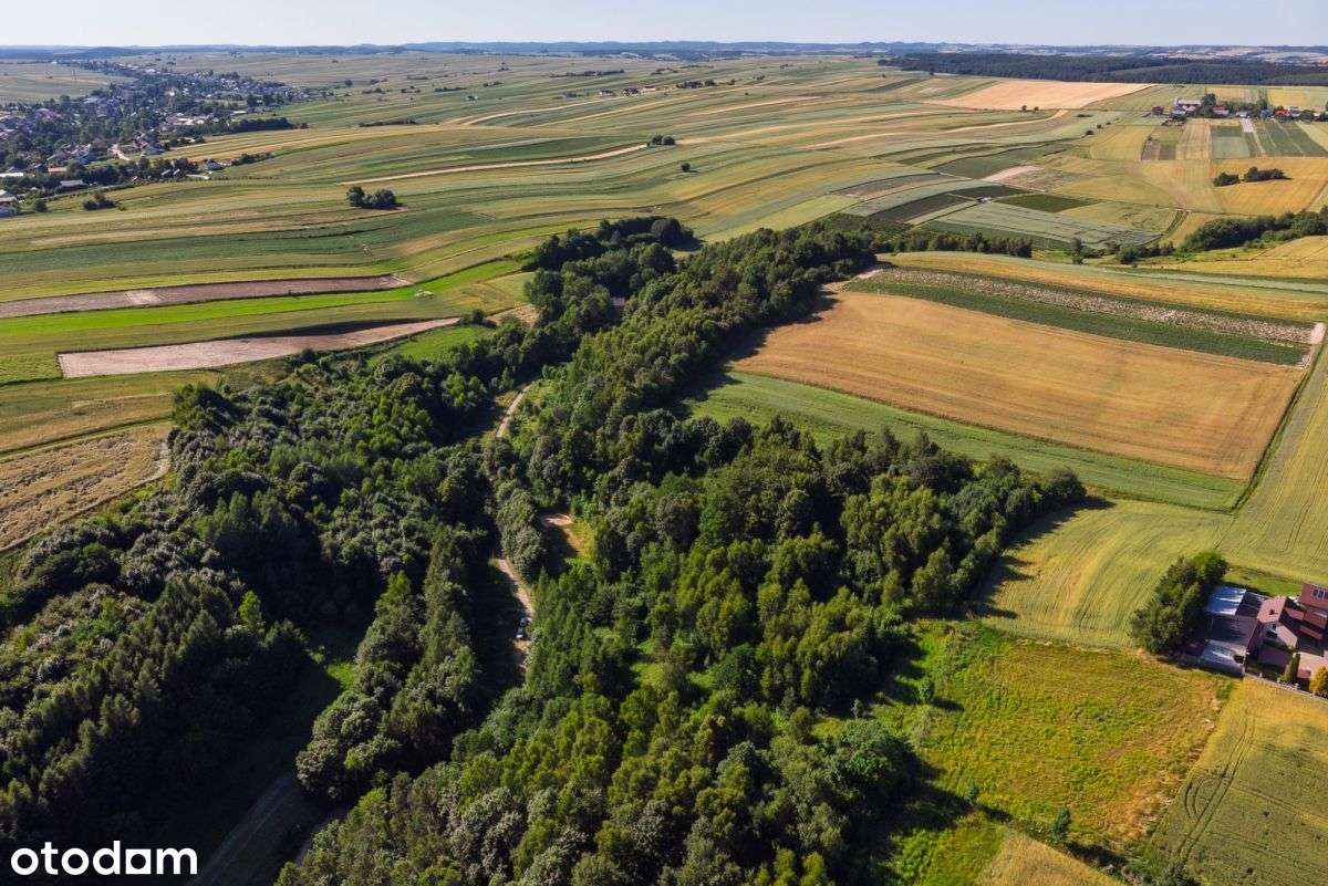 Malownicza duża działka z PnB-11