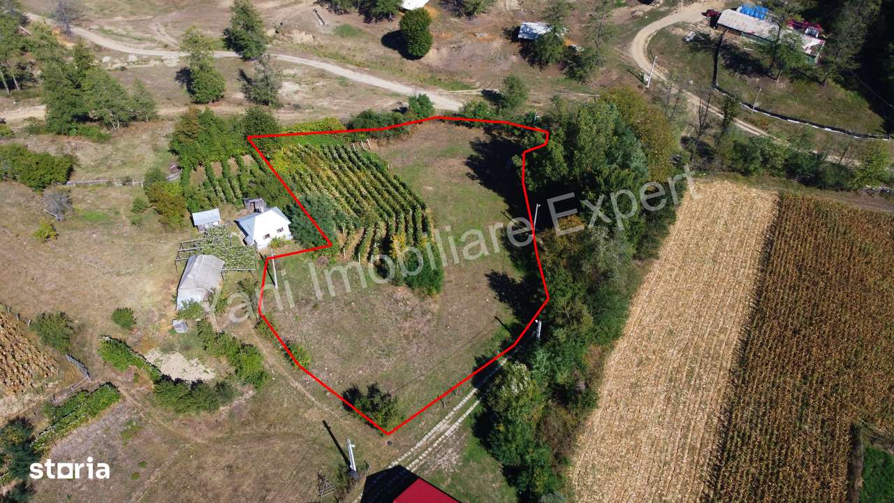 Teren de vânzare în comuna Băiculești, sat Tutana, județ Argeș. - Imagine principală: 5/10