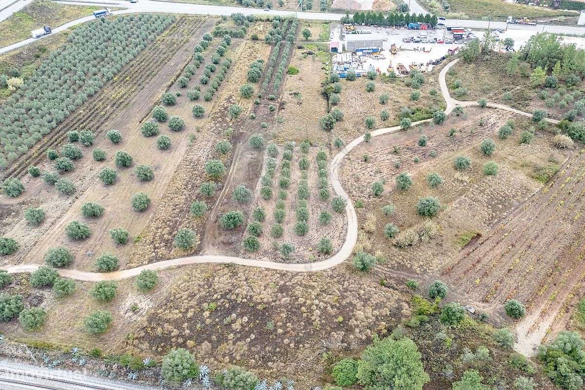 Industrial  para venda - Grande imagem: 2/8