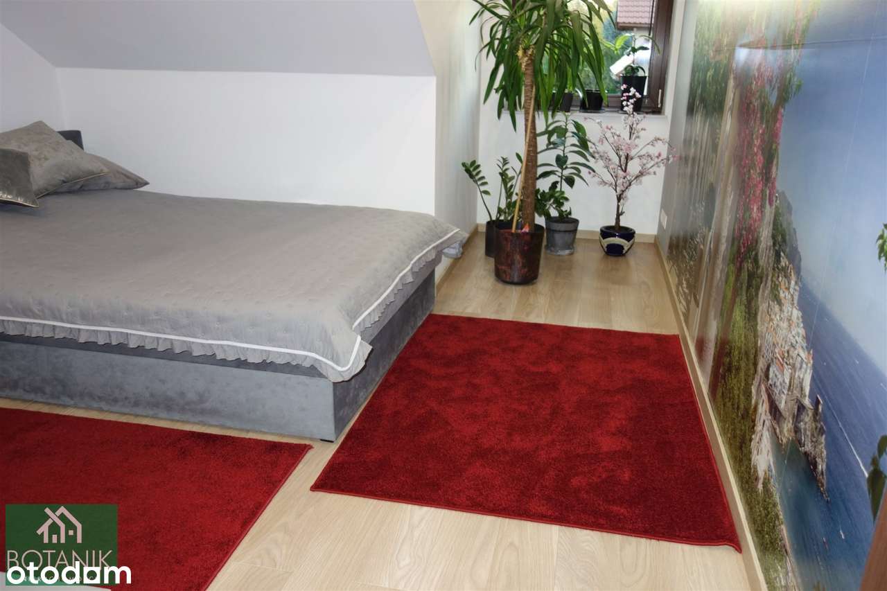 Bliźniak dzielnica Szerokie-11