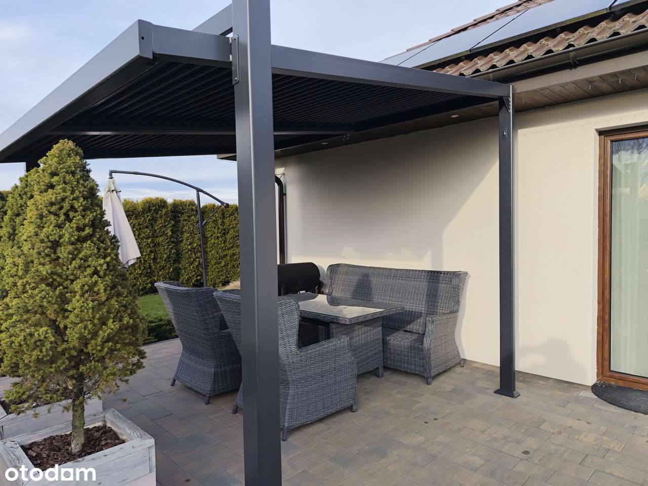 Parterowy dom do zamieszkania od zaraz w Jabłonnie-Majątek - Pełny obrazek: 3/20