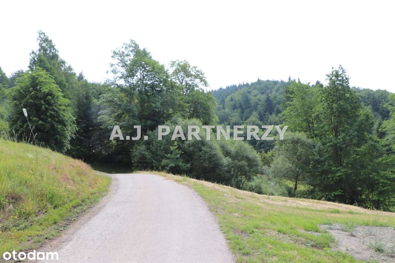 Działka w otoczeniu lasu z widokiem na góry - Pełny obrazek: 5/15