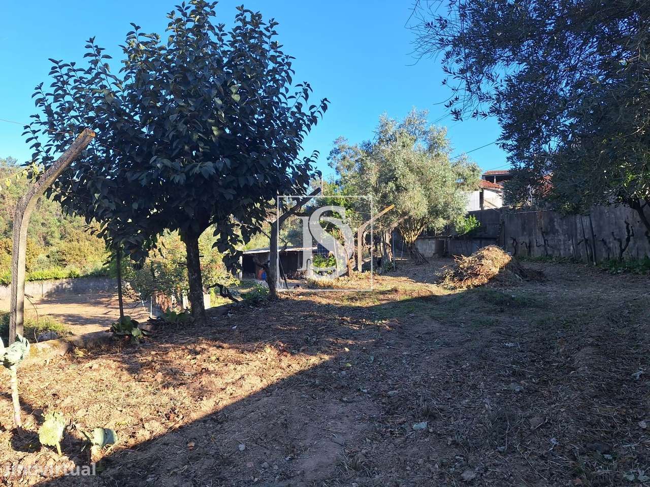 Terreno rústico com 1500m2 nas Sernadas - Grande imagem: 5/23