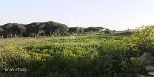 Terreno urbano no campo, perto das praias