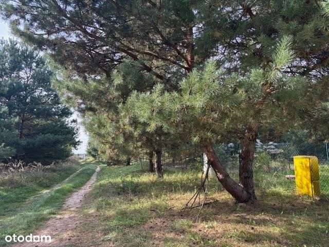 piękna działka budowlana-4