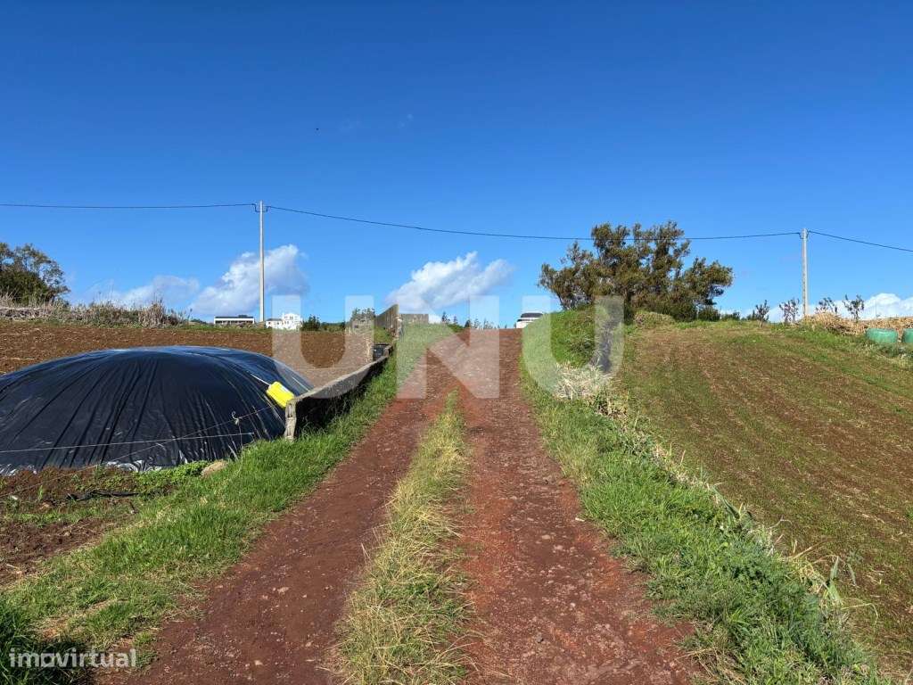 Terreno Rústico na Lomba da Fazenda - Grande imagem: 4/6