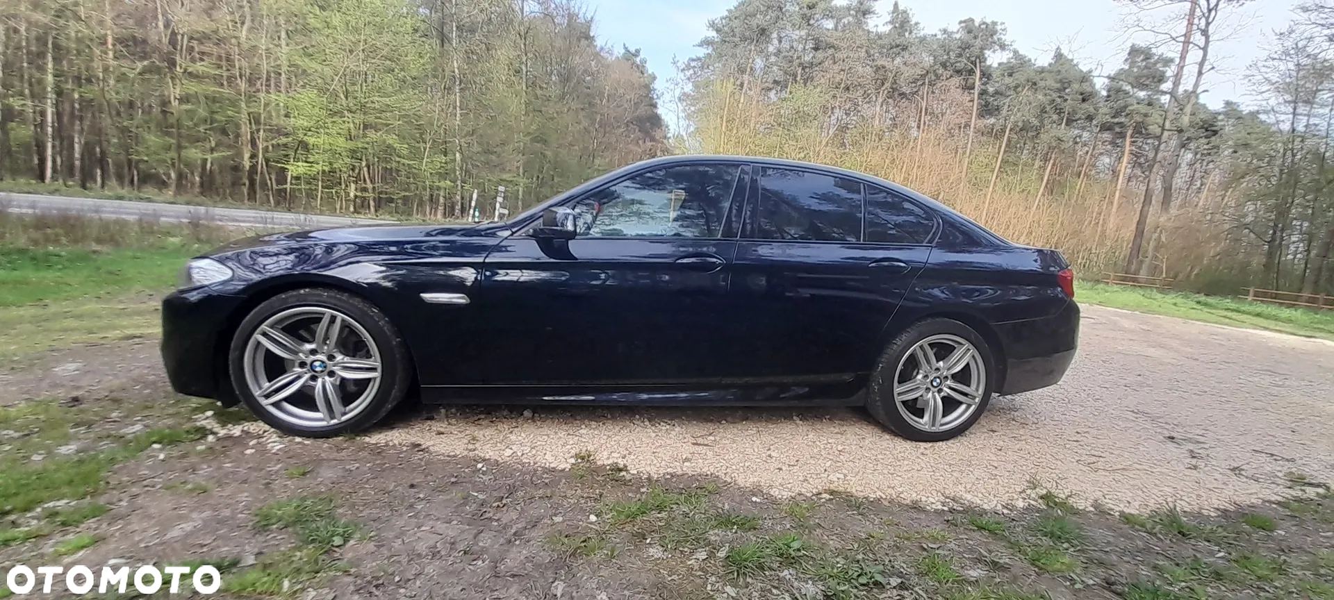 BMW Seria 5 530d xDrive - 22