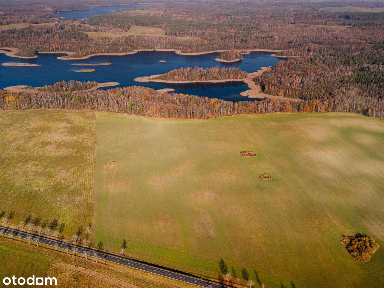 Działka siedliskowa - Krągi-8