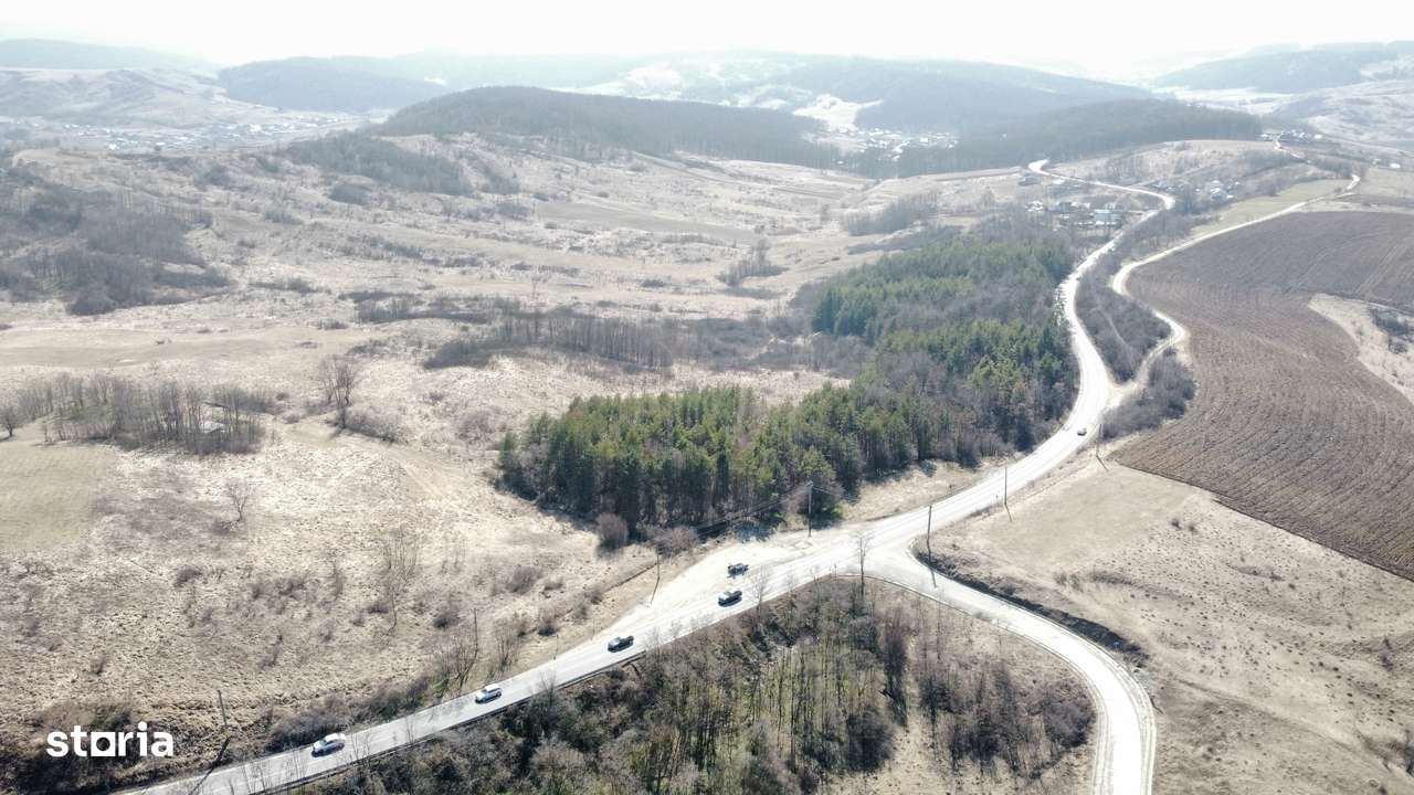 Teren 10000 mp Sanduleni-4