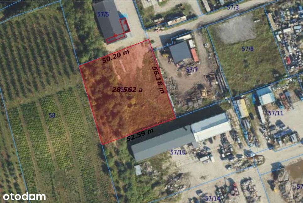 Działka handlowo-usługowa w Kosakowie - Pełny obrazek: 4/13