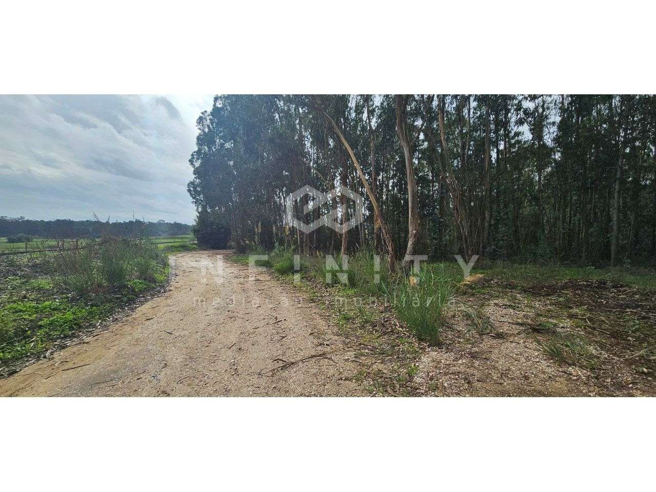 Terreno agrícola de 6000m² com boa localização - Grande imagem: 4/4