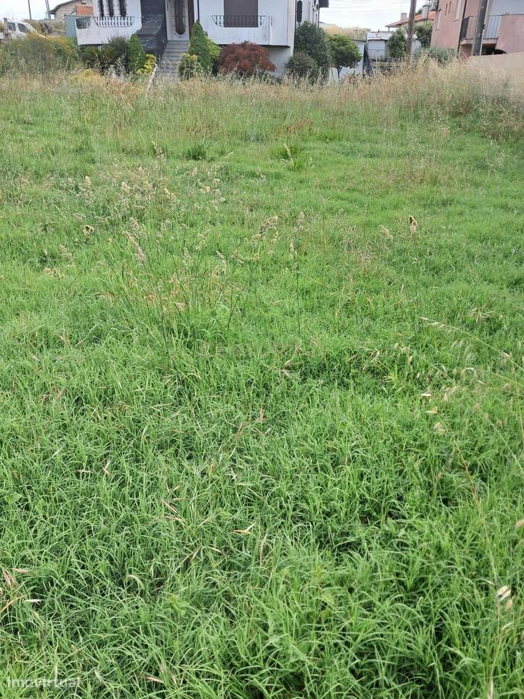 Terreno Urbano para Construção – 724m² em Castelões, Penafiel - Grande imagem: 4/4