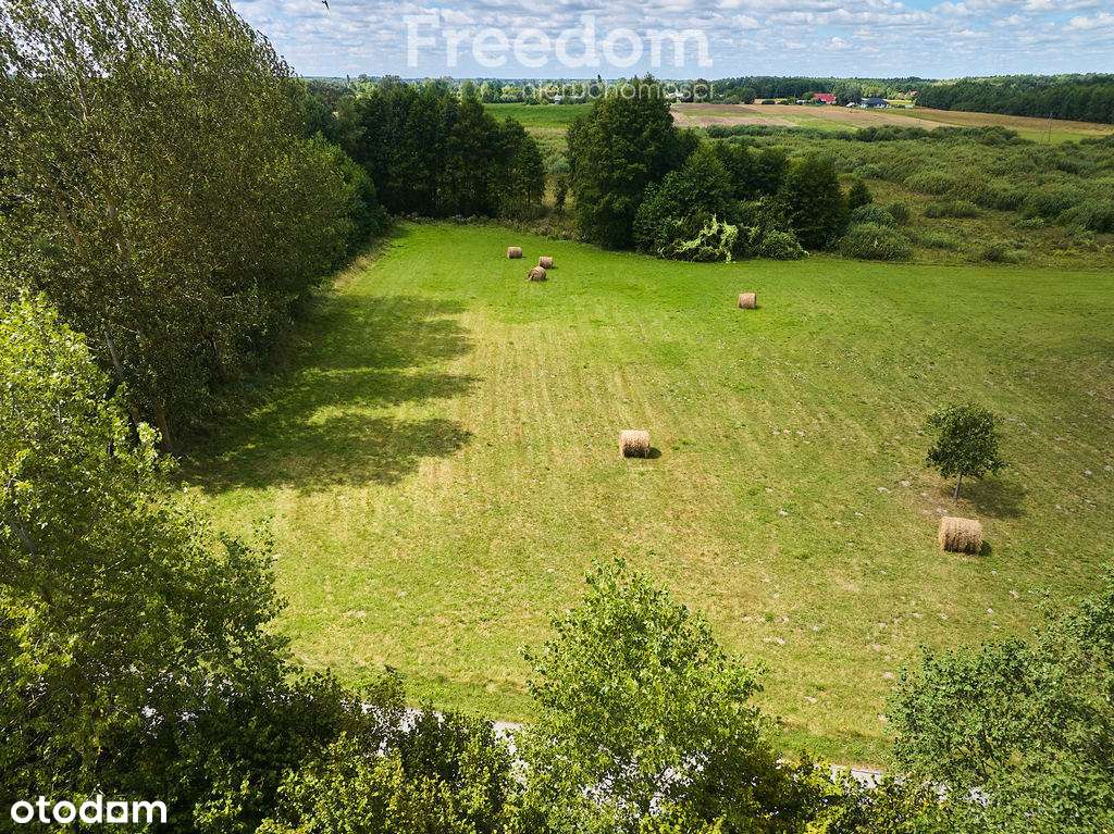 Działka w Żalinie, warunki zabudowy. - Pełny obrazek: 3/11