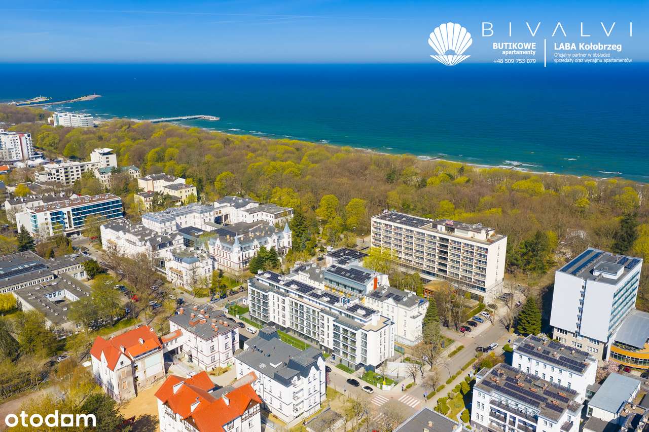 Bivalvi-1