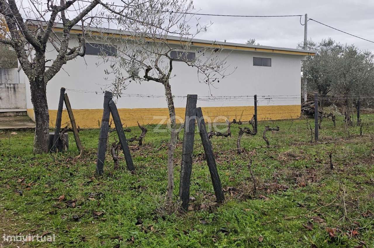 Terreno Agrícola – 22.800 m² – Vilar de Maçada, Alijó-9