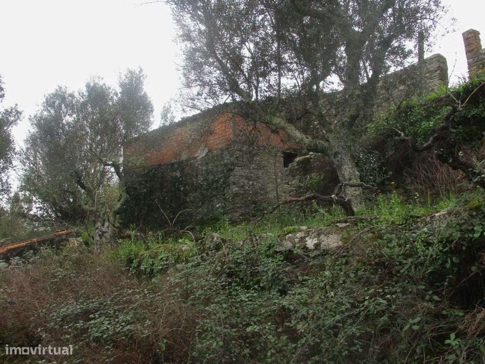 Quintinha - Grande imagem: 4/15