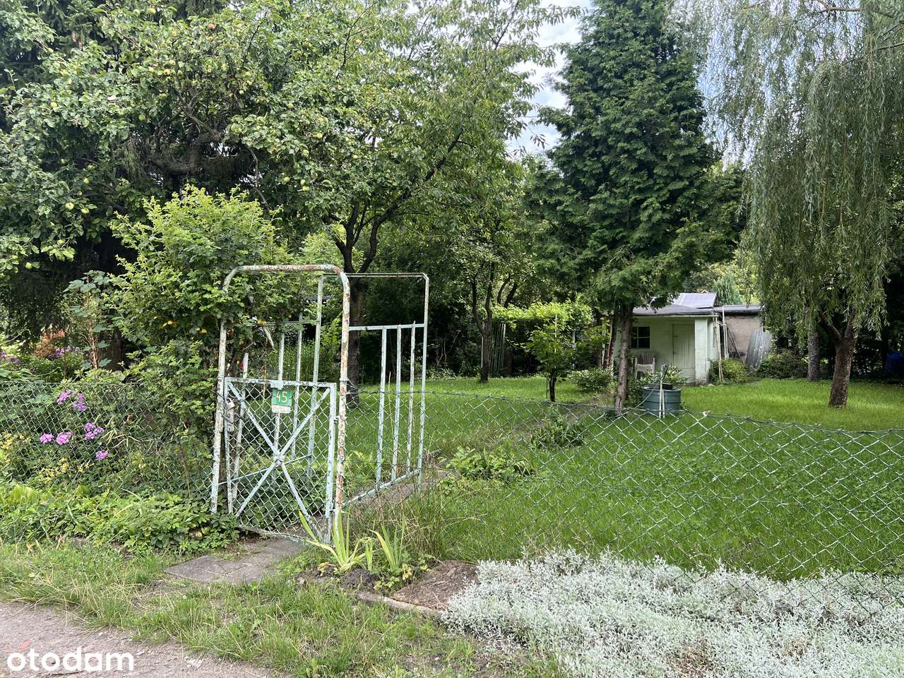 Działka ROD, Bogdanka, Pułaskiego, Sołacz, Rekreacja-2