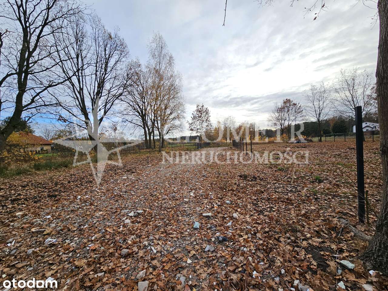 spokój, natura i przestrzeń - Pełny obrazek: 5/8