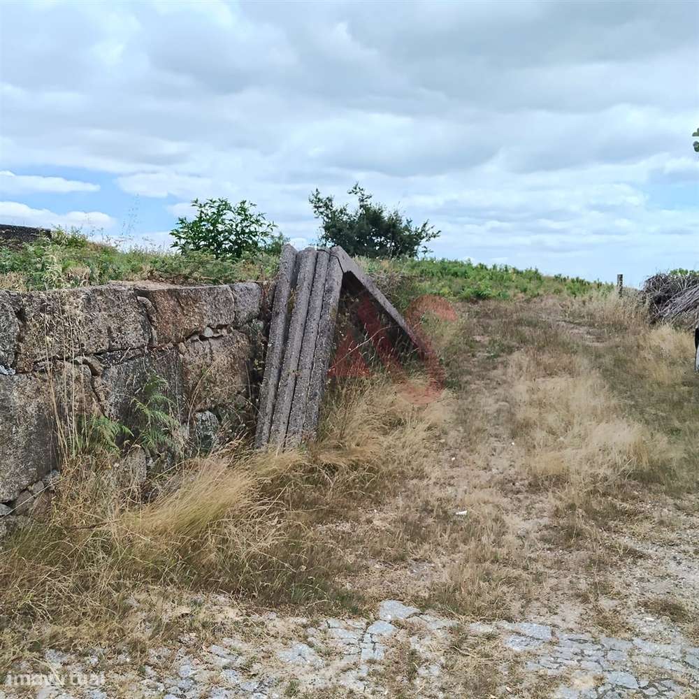 Terreno Rústico Urbanizável com 3.834 m² em Silvares (S. Martinho), Fa - Grande imagem: 5/21