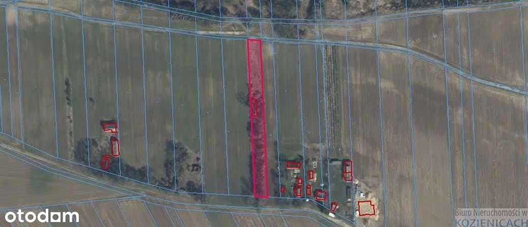 Działka, 3 030 m², Kępa Bielańska - Pełny obrazek: 4/5