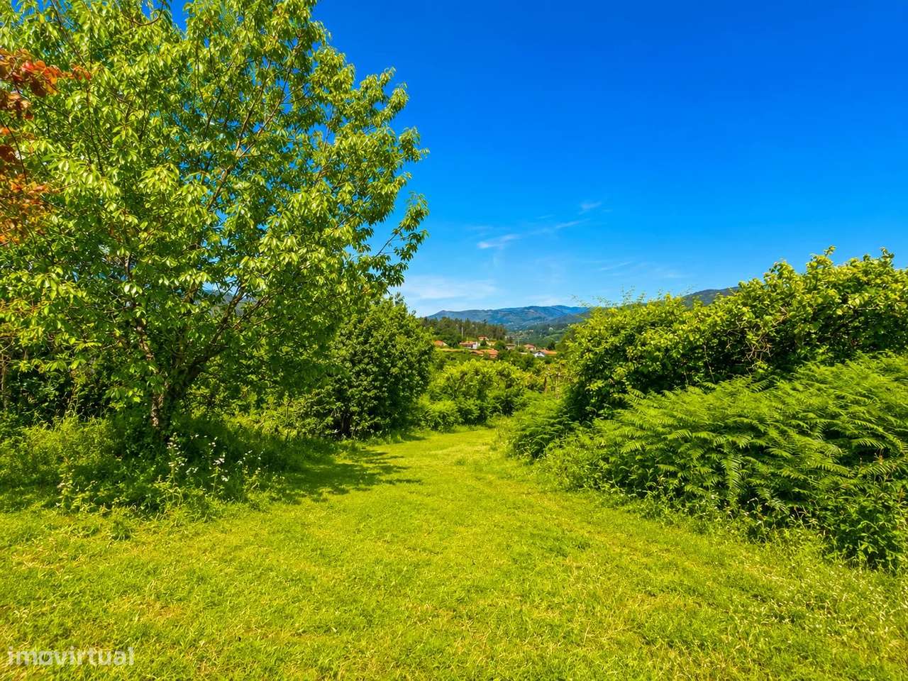 Quinta com Moradia T4 em Pedra, História e Natureza em Harmonia em Arc-38