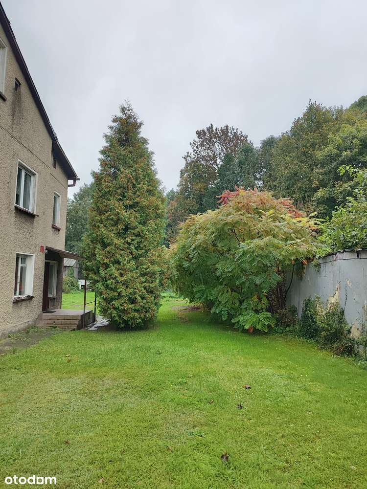 Przestronny dom z ogrodem w samym centrum.-2
