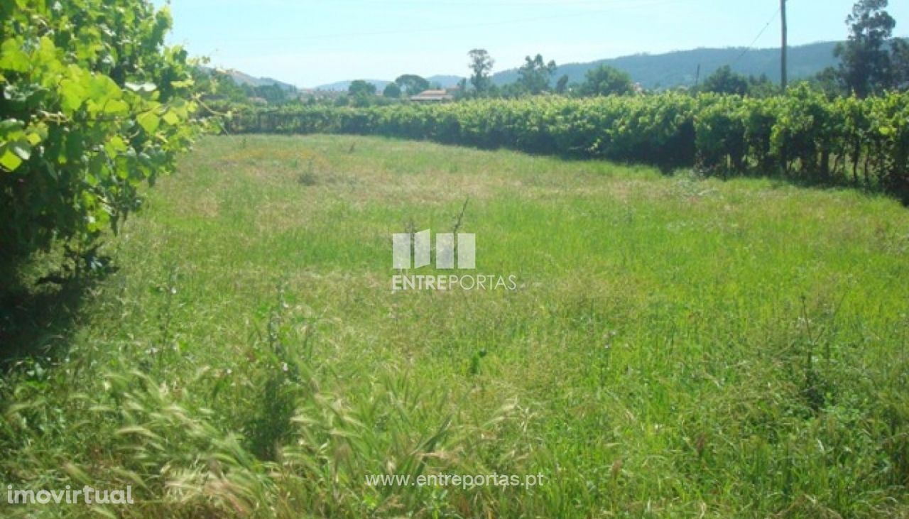 Venda de Terreno, Neves, Viana do Castelo