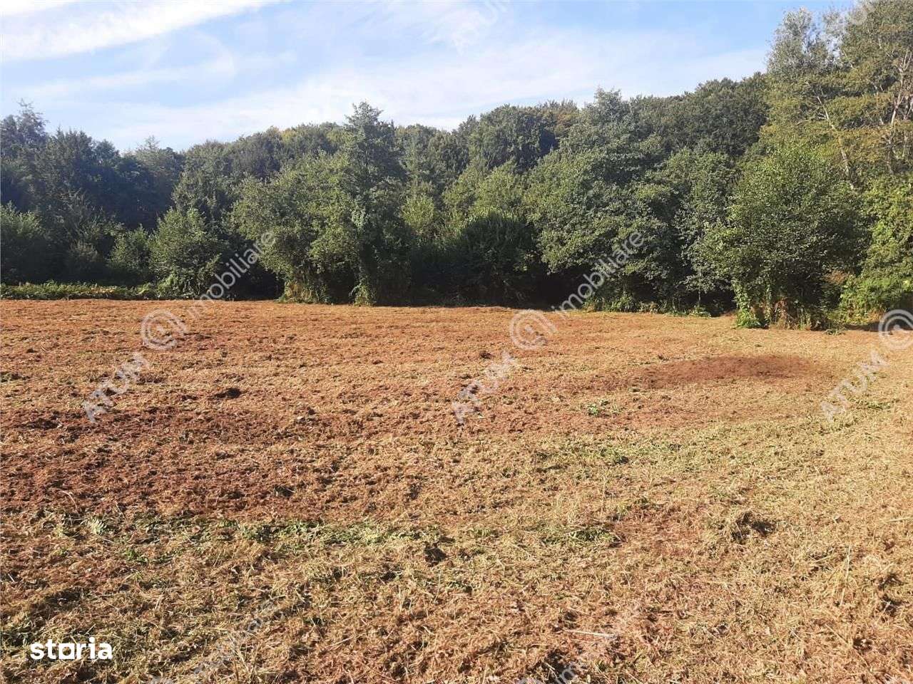 Teren intravilan de vanzare 1856 mp in Avrig zona Valea Avrigului - Imagine principală: 2/6