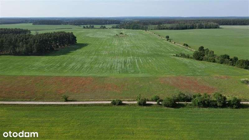 Działka budowlana w zacisznym miejscu - Pełny obrazek: 4/16