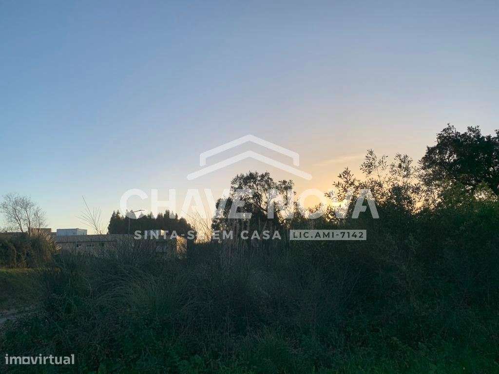Terreno p/ Construção em Altura em Gulpilhares - Grande imagem: 5/12