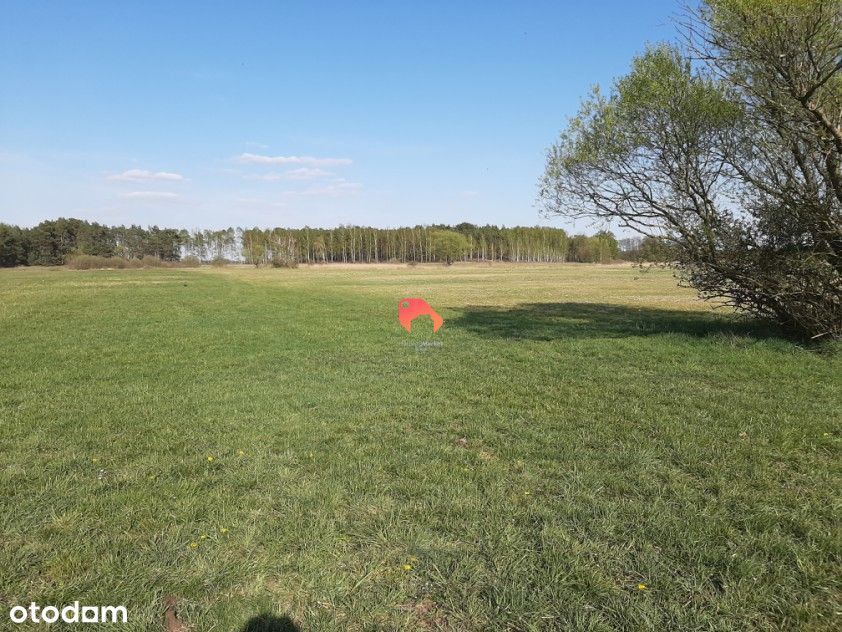 Działka Budowlana Antoniewo Gm. Nowe Dąbie 1123 M