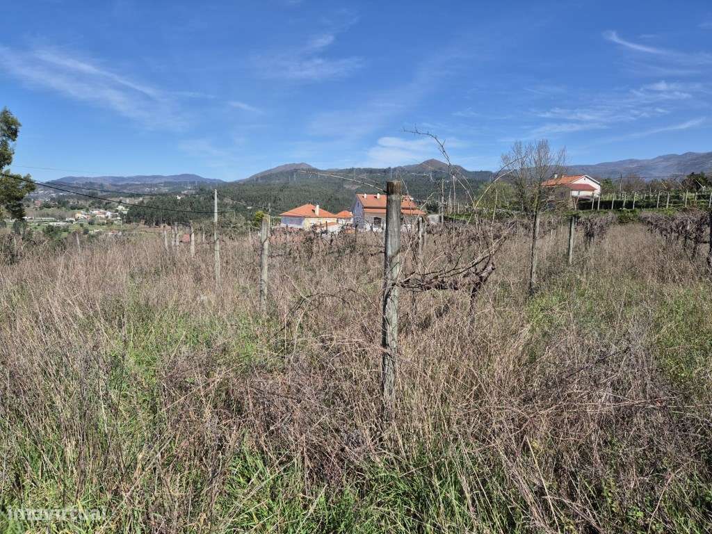 Lote de Terreno para Moradia - Grande imagem: 5/7