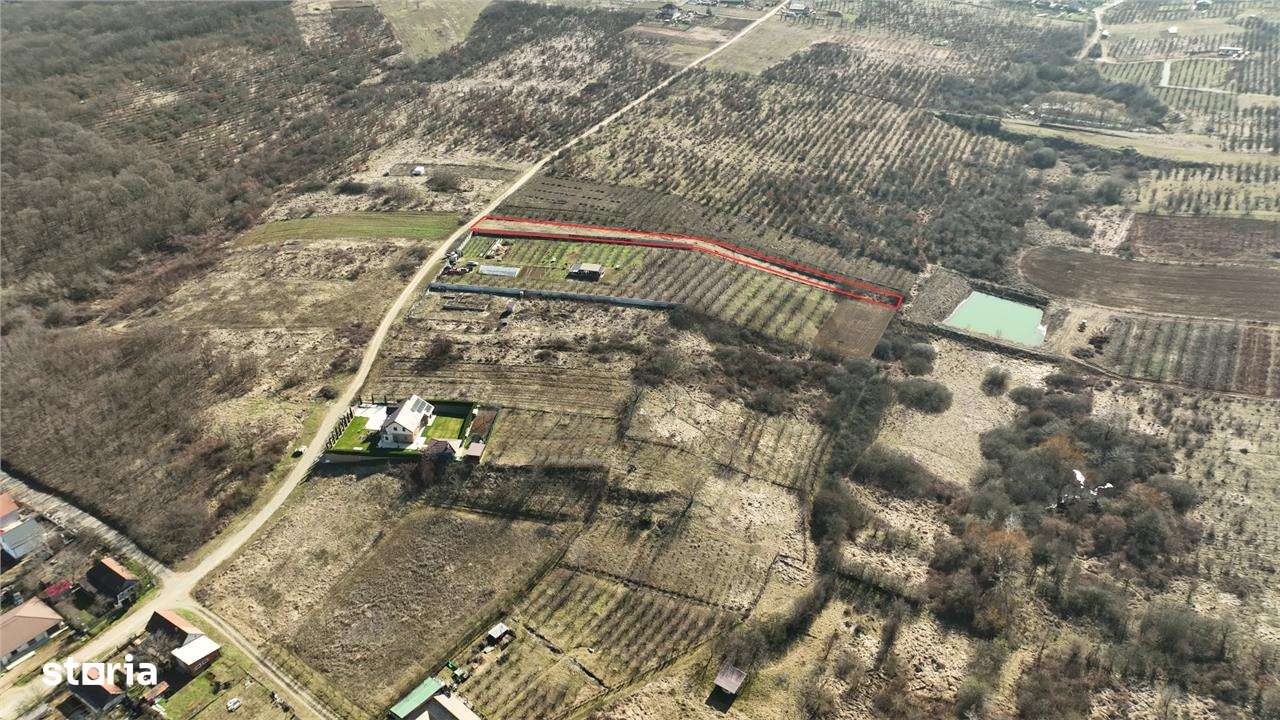 RECO TEREN INTRAVILAN IN PALEU - Imagine principală: 4/5