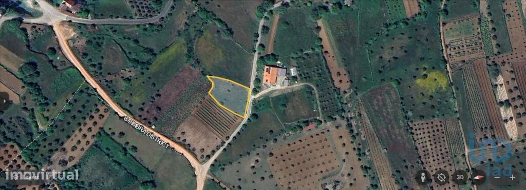 Terreno Agrícola em Alvorge de 1250,00 m2 - Grande imagem: 1/10